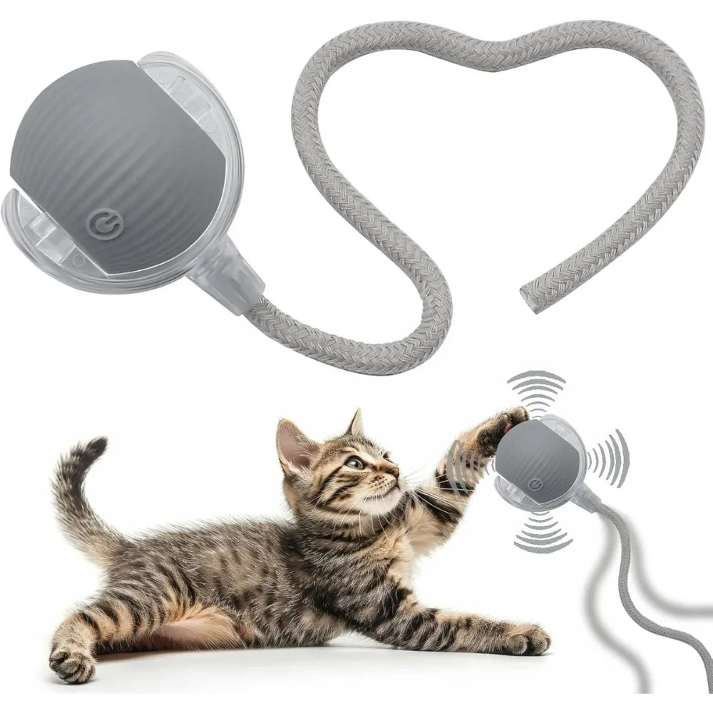 Pelota Interactiva Para Gatos Con Soga
